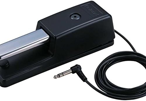 Amazon.com: Roland DP-10 : Musical Instruments